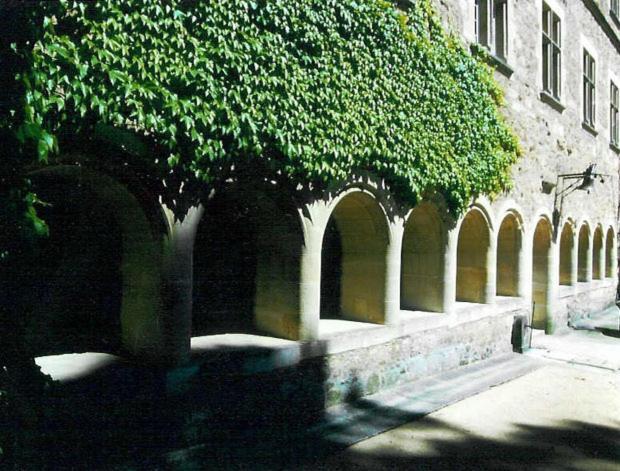 Chateau De Beguin Lurcy-Lévis Buitenkant foto