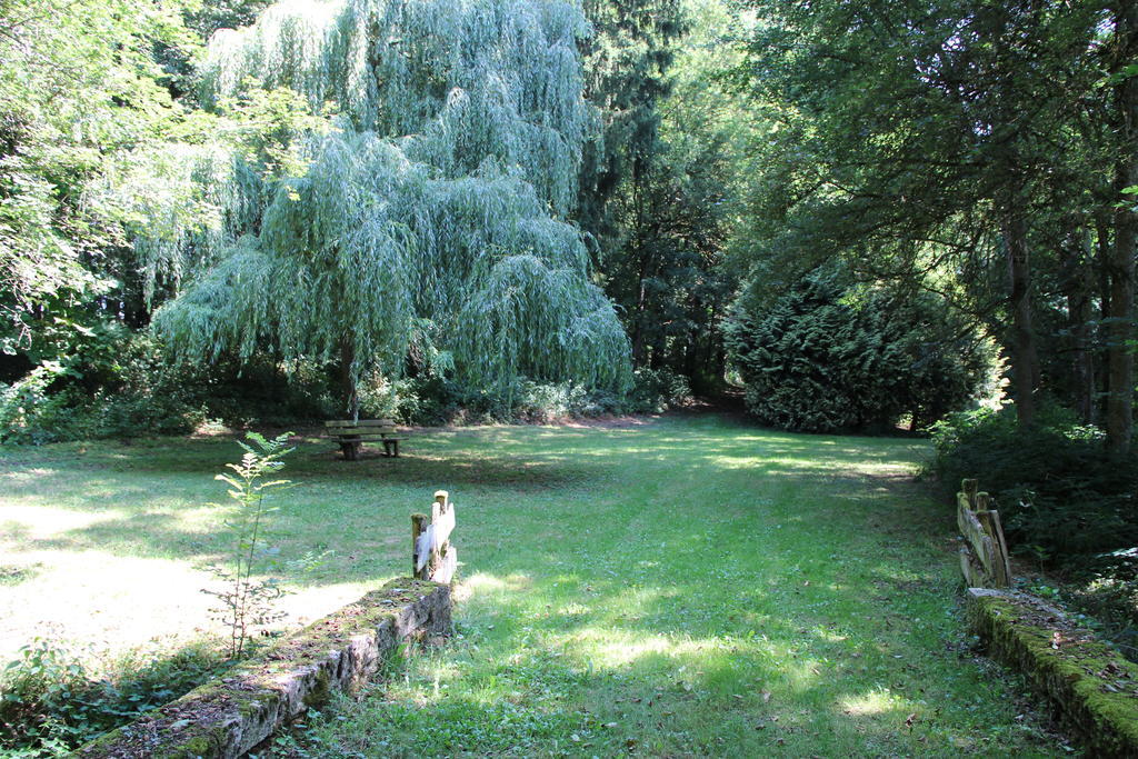 Chateau De Beguin Lurcy-Lévis Buitenkant foto
